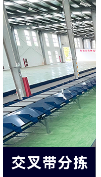 分类_04.png 分类_04.png