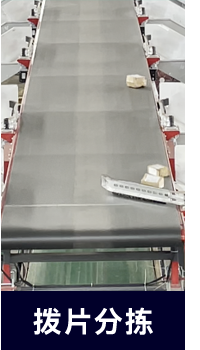 分类_06.png 分类_06.png